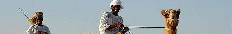 man_camel.jpg Qatar travel and tours, Hotel in Doha desert safari